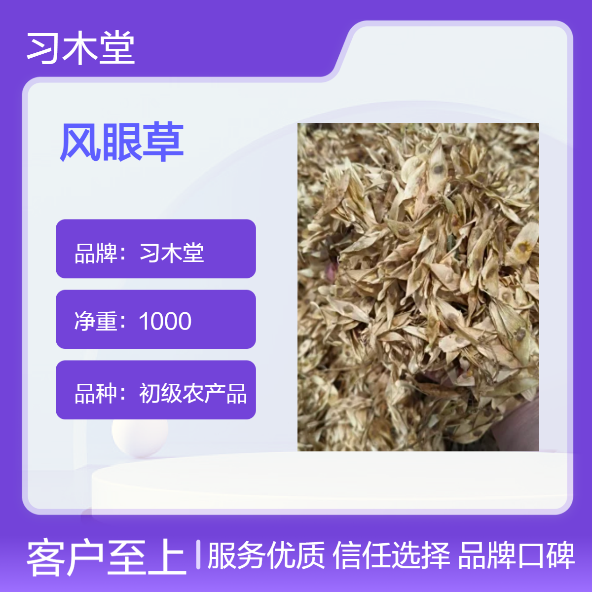 供应 风眼草 产地直售 无硫 新货 保质保量 各种花草茶批发