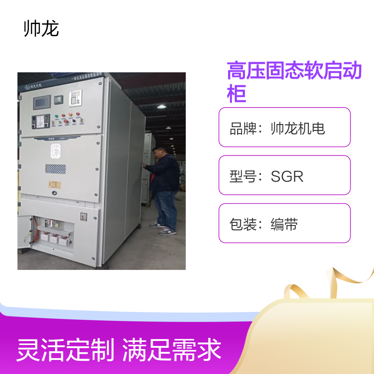 帅龙机电SGR高压固态软启动柜 500kw空压机起动柜