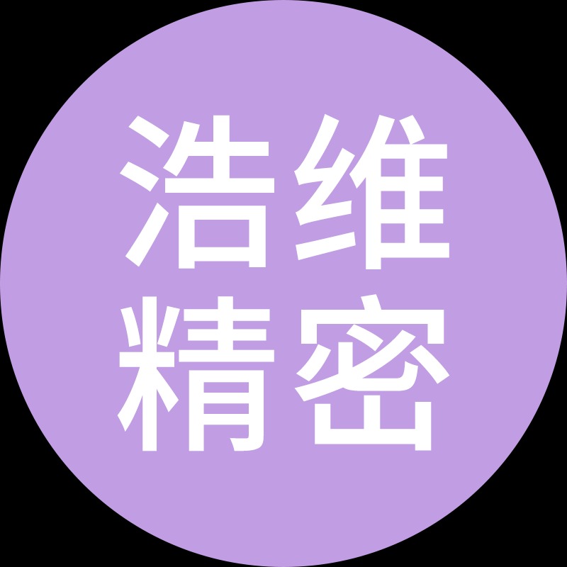 中山浩维精密技术有限公司