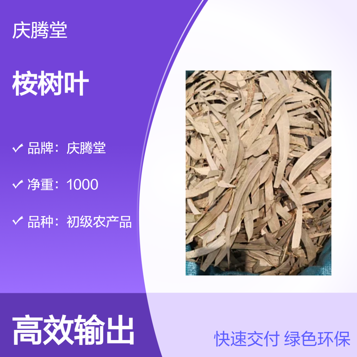 庆腾堂 桉树叶 批发 零售 当年新货 精选 1000g 原形态 干货 初级农产品