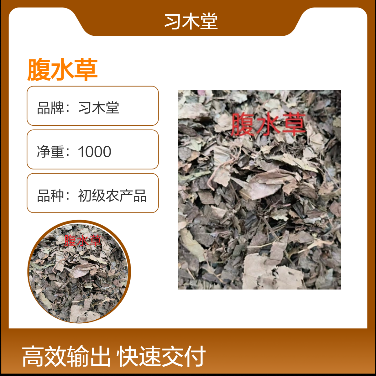 批发 腹水草 苜蓿草 一枝黄花 新货 无硫 品质正宗