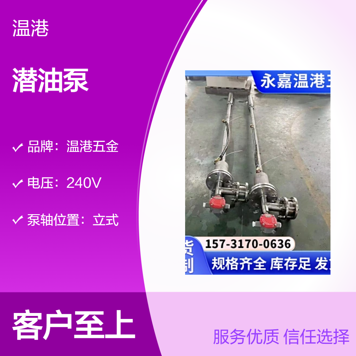 温港五金50mm吸入口径铸铁潜油泵 直流电驱动加油站专用红色泵