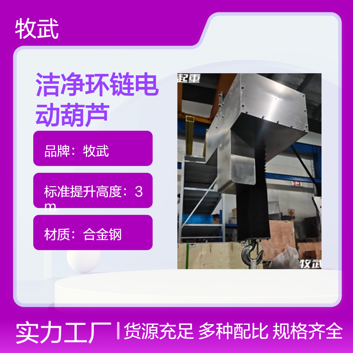 牧武500kg洁净无尘环链电动葫芦 380V电源 4m起升 不锈钢材质罩壳