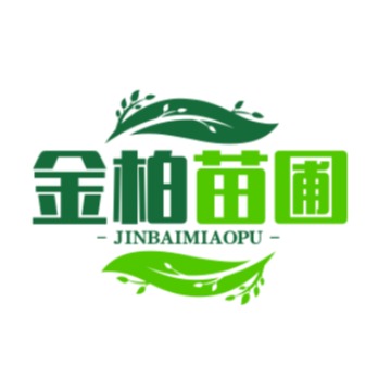 开原市金柏苗圃 - 公司logo