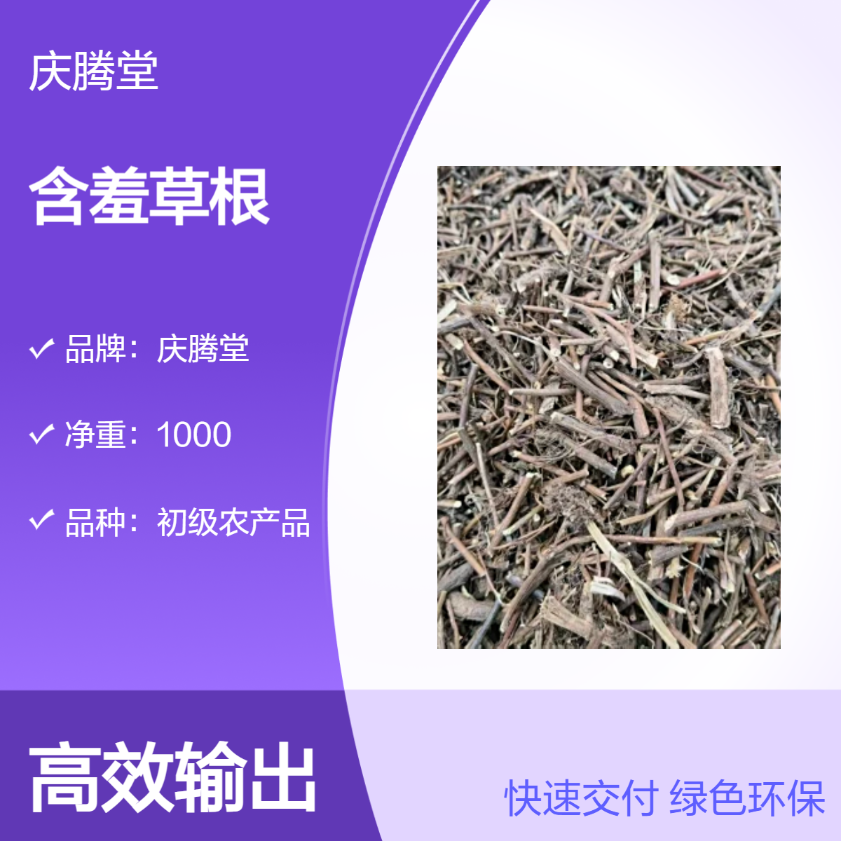 庆腾堂 批发 含羞草根 当年新货 无硫 品质好 1000g 干货