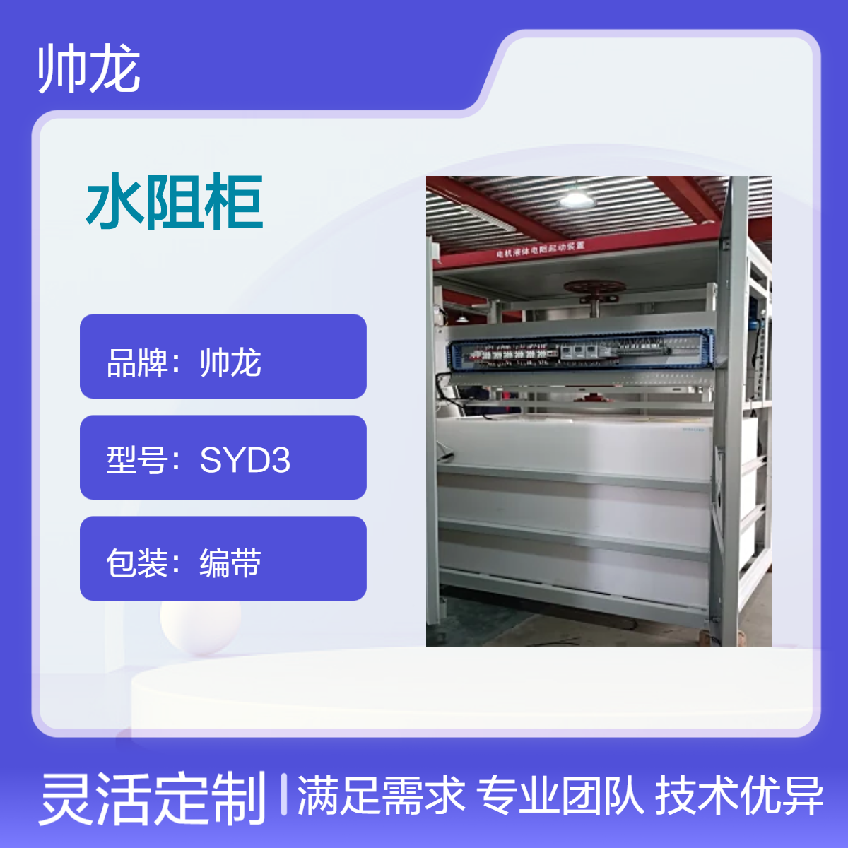 帅龙机电SYD1高压电机用绕线式水阻柜 液阻启动装置