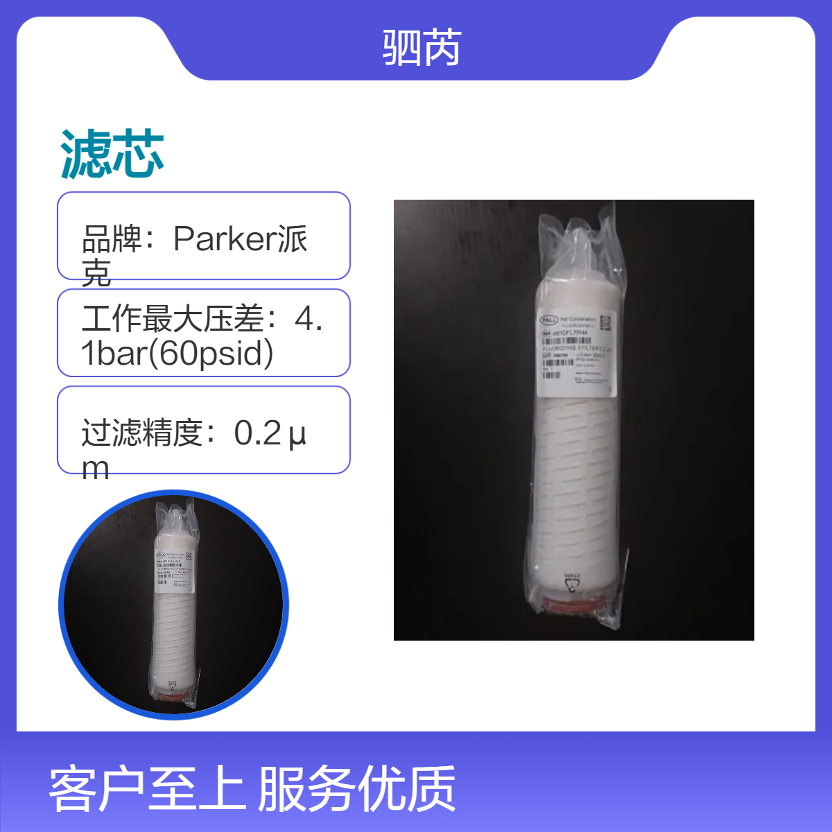 PALL颇尔Fluorodyne PVDF膜过滤滤芯 AB1DFL7PH4