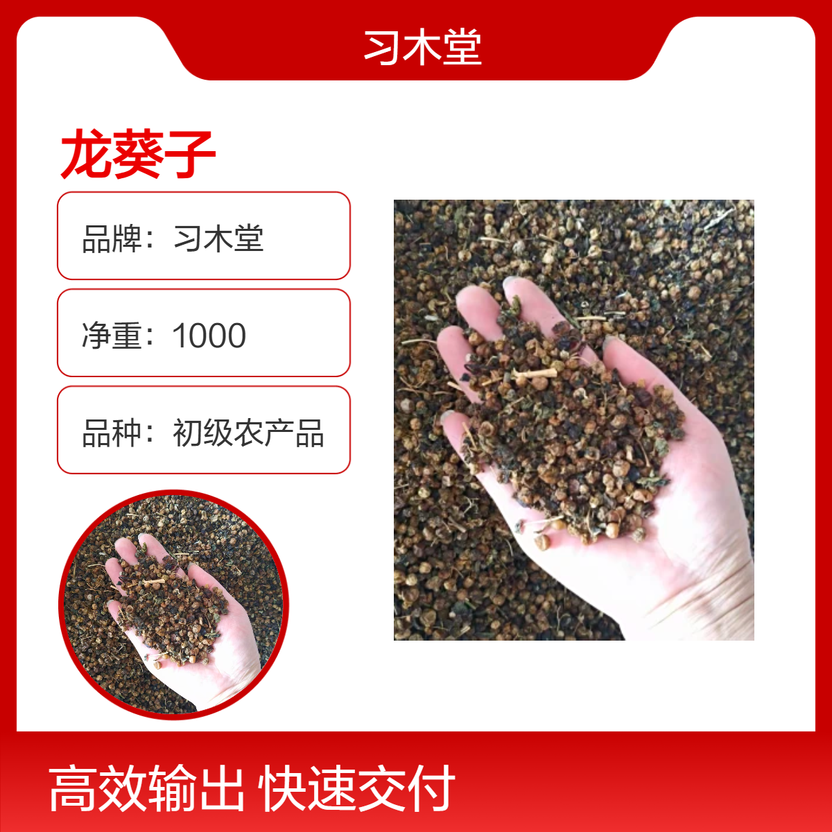 龙葵子 批发 当年新货 自然晒干 无熏硫 品质保证