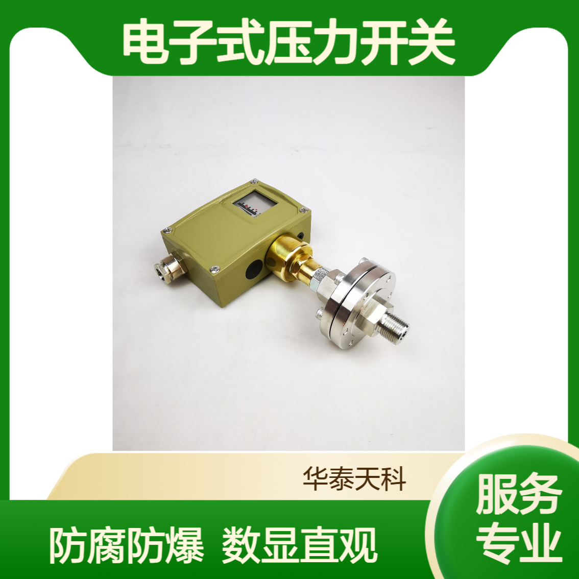 电子式压力开关 TYCO-3X 法兰连接 不锈钢材质 污水处理可用 防腐防爆