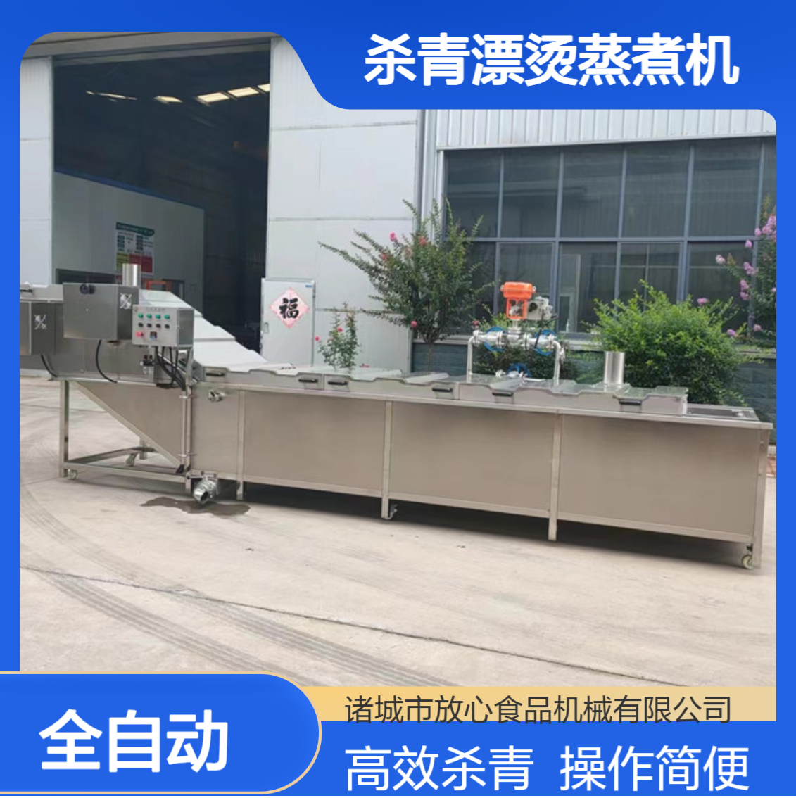 放心机械设备 全自动杀青机 蔬菜杀青漂烫蒸煮设备