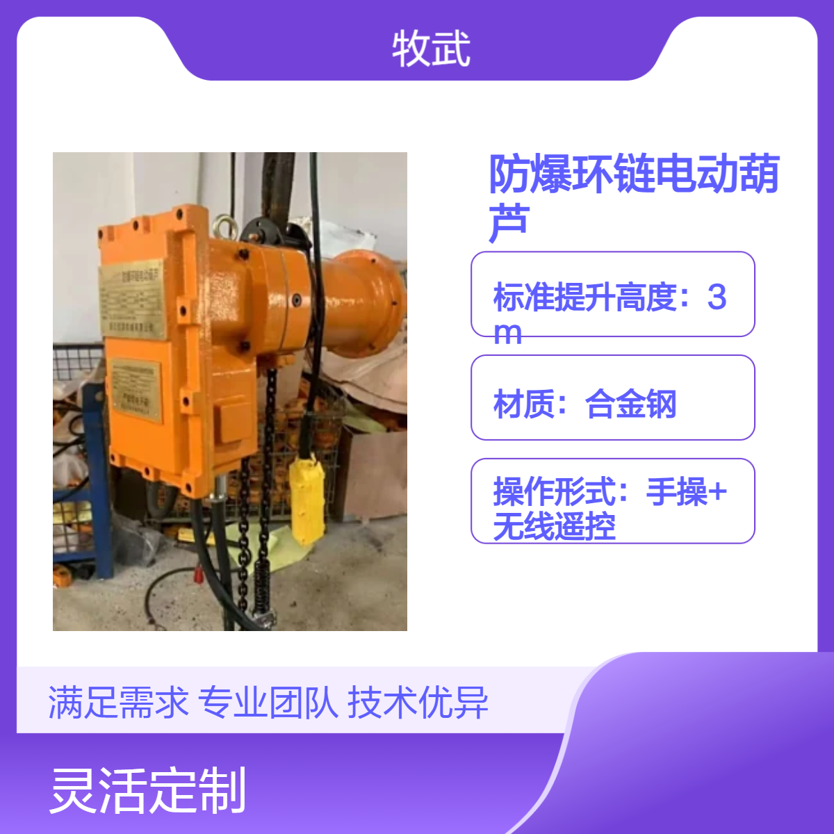 1吨粉尘防爆环链电动葫芦 防爆区域A21 防护IP65 起升4m起重机专用