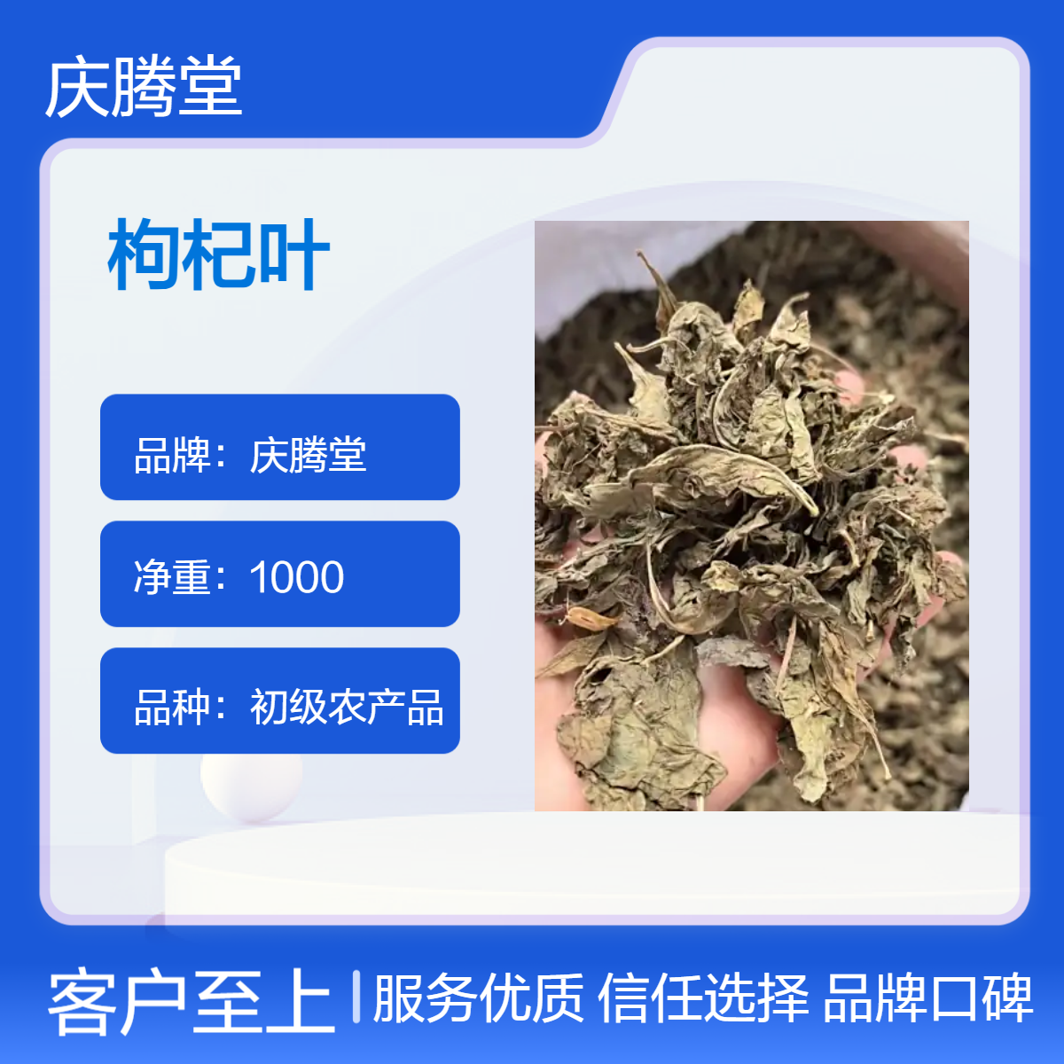 批发 中药材 枸杞叶 无硫 新货 自然晒干 品质正宗
