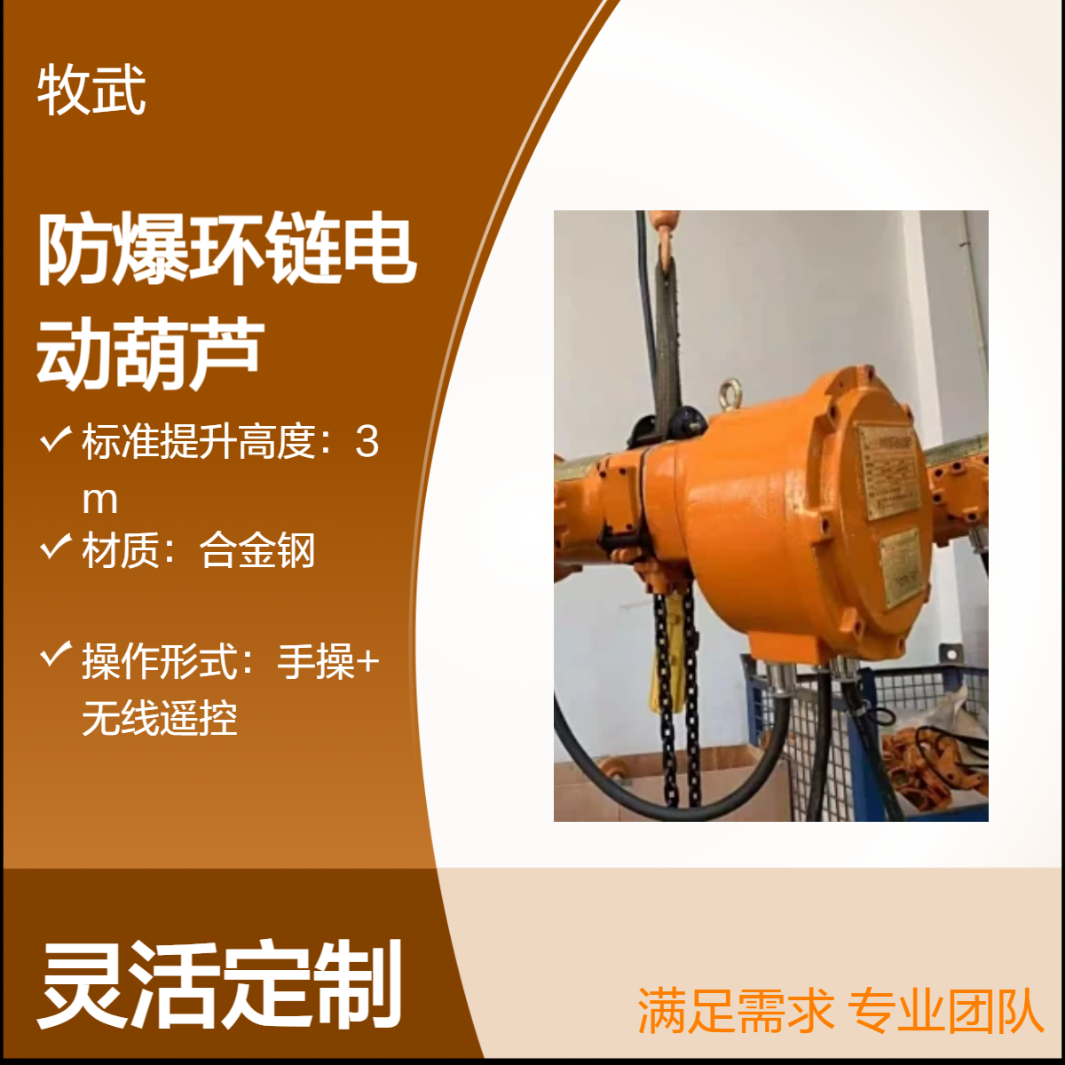 2.5T粉尘防爆环链电动葫芦 4m起升高度合金钢材质 工业起重优选