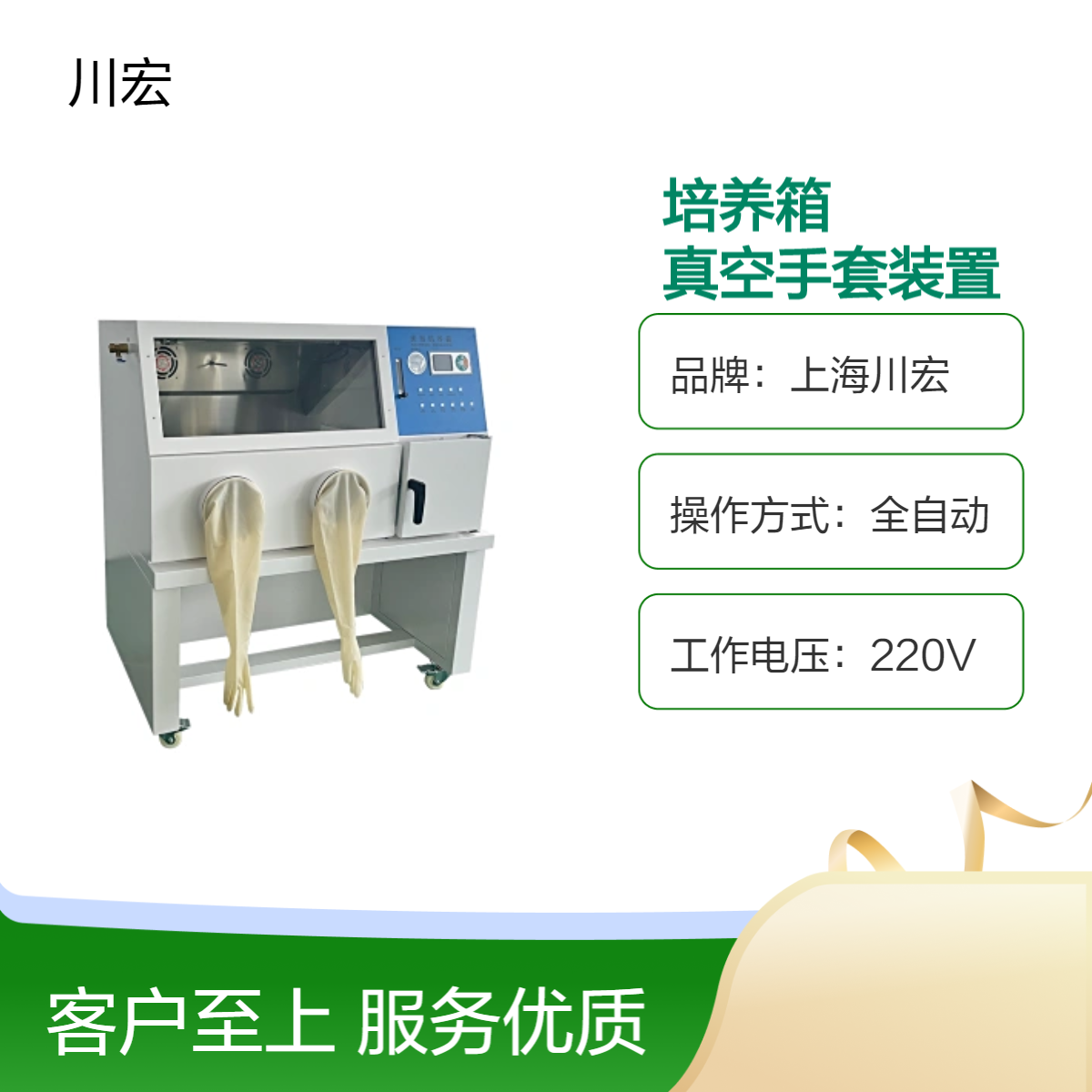 厌氧培养箱 YQX-II 微需氧细菌培养真空手套装置