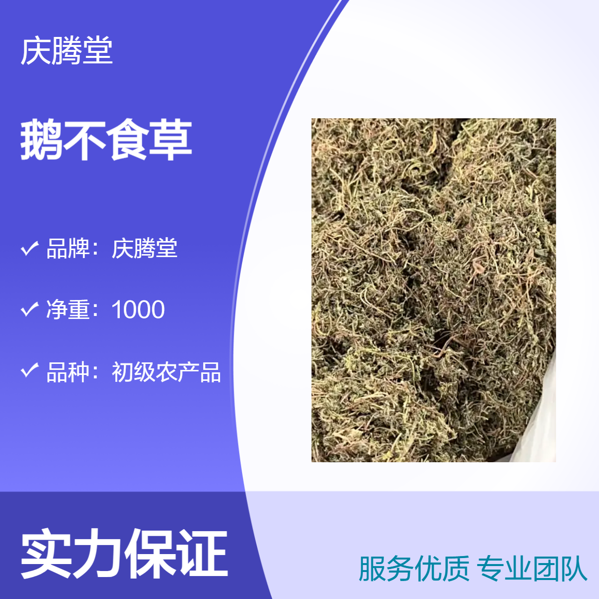 正宗 鹅不食草 无硫 新货 品质好 产地直售 各种中草药批发