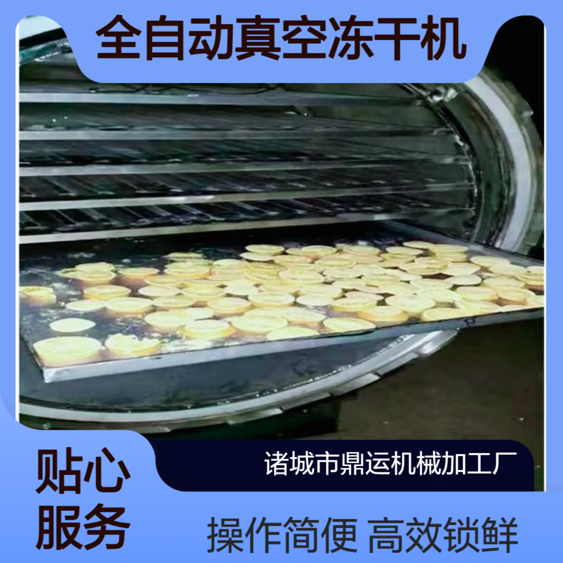 菠萝蜜真空冷冻 全自动真空冻干机 枸杞锁鲜真空冷冻干燥机