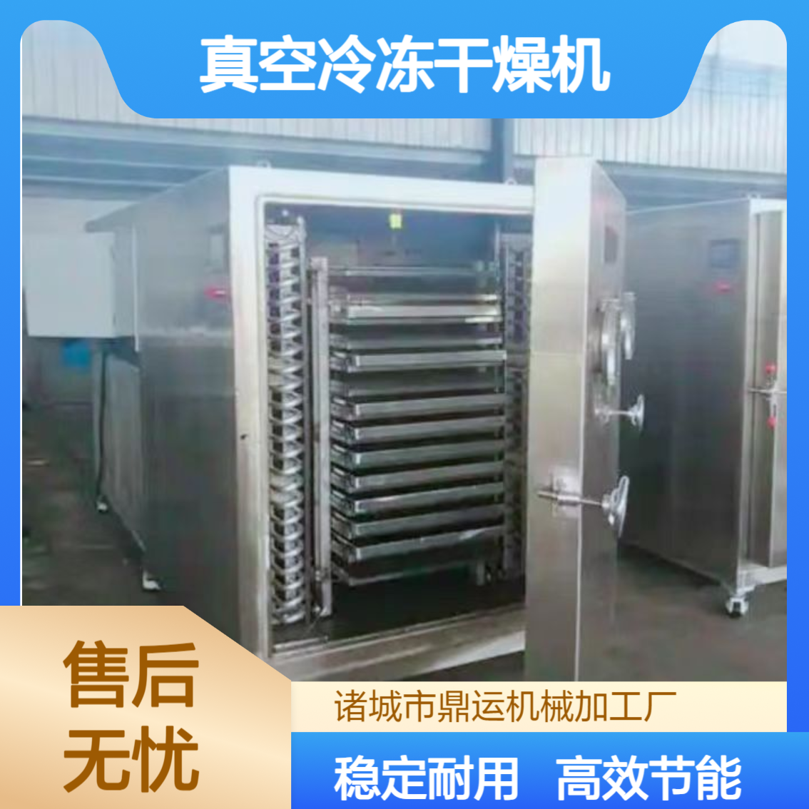 中草药冻干机厂家 虫草石斛 真空冷冻干燥机大型商用