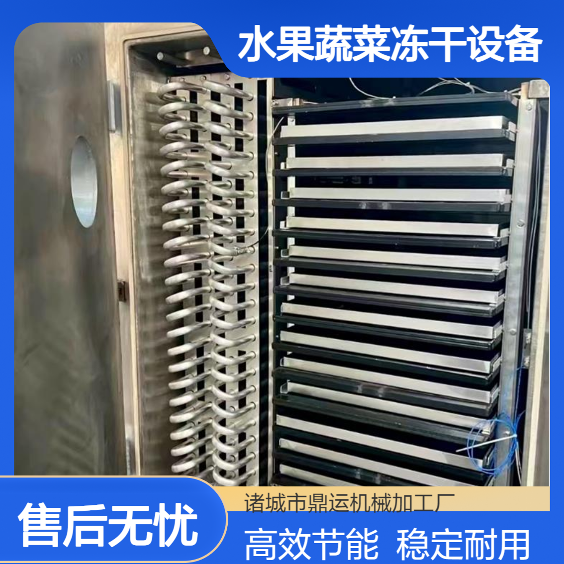 五平方水果真空冻干机 食品低温干燥冻干机 水果蔬菜冻干设备