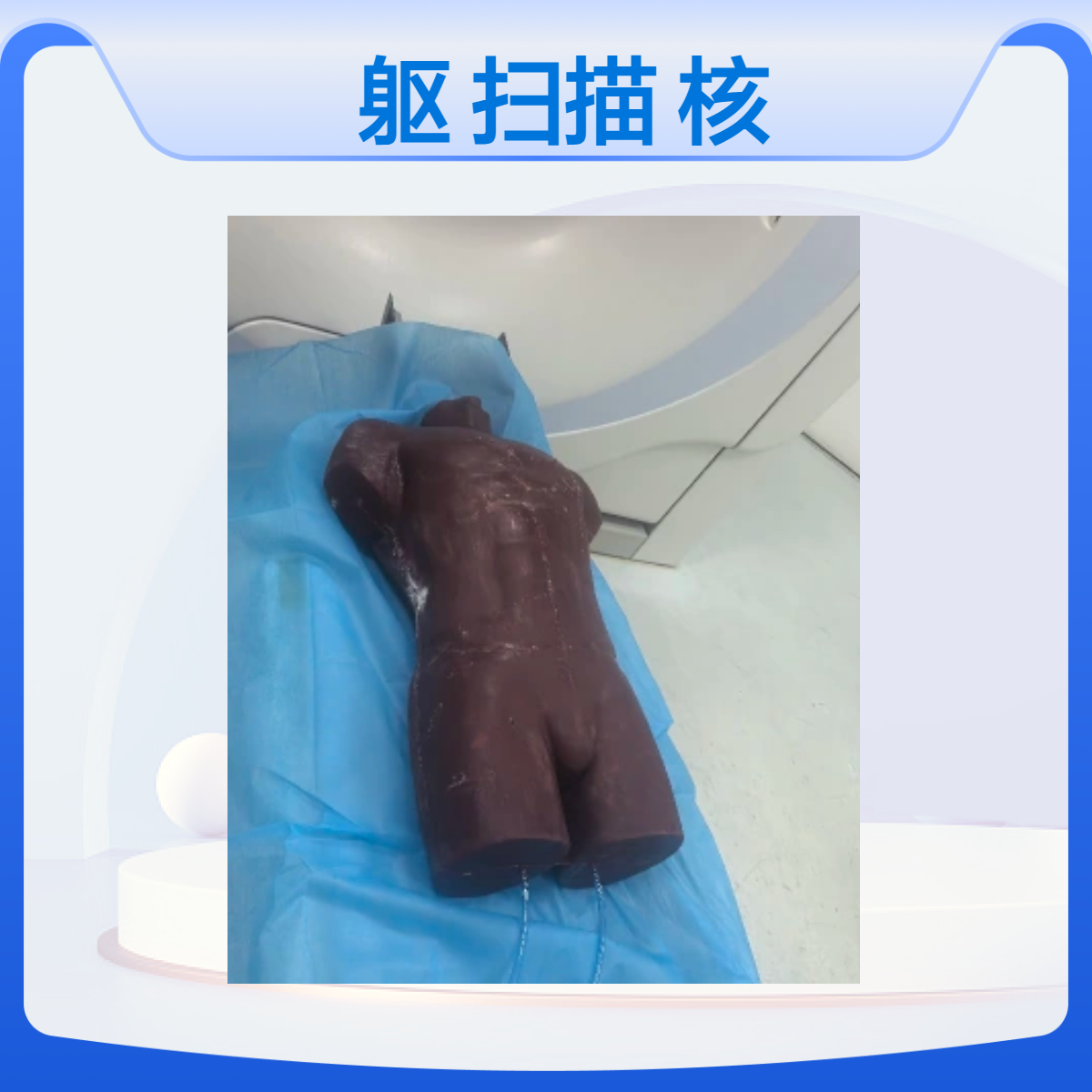 人体躯干扫描体模CT扫描躯干体模核磁扫描成人呼吸运动