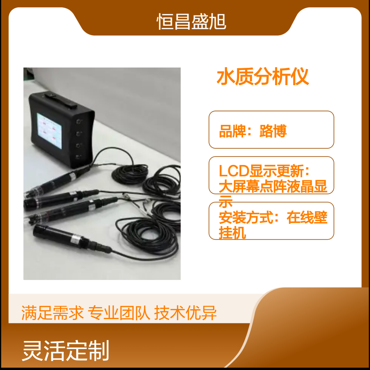 路博水质分析仪 在线壁挂式 12V电源 50Hz频率 白色轻便款