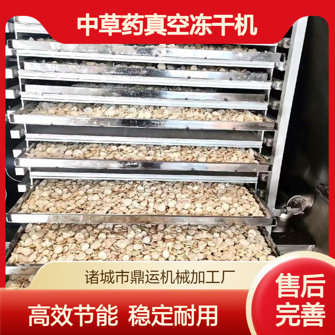 小型制药冻干粉设备 宠物零食真空冻干机 水果蔬菜中草药冷冻干燥机