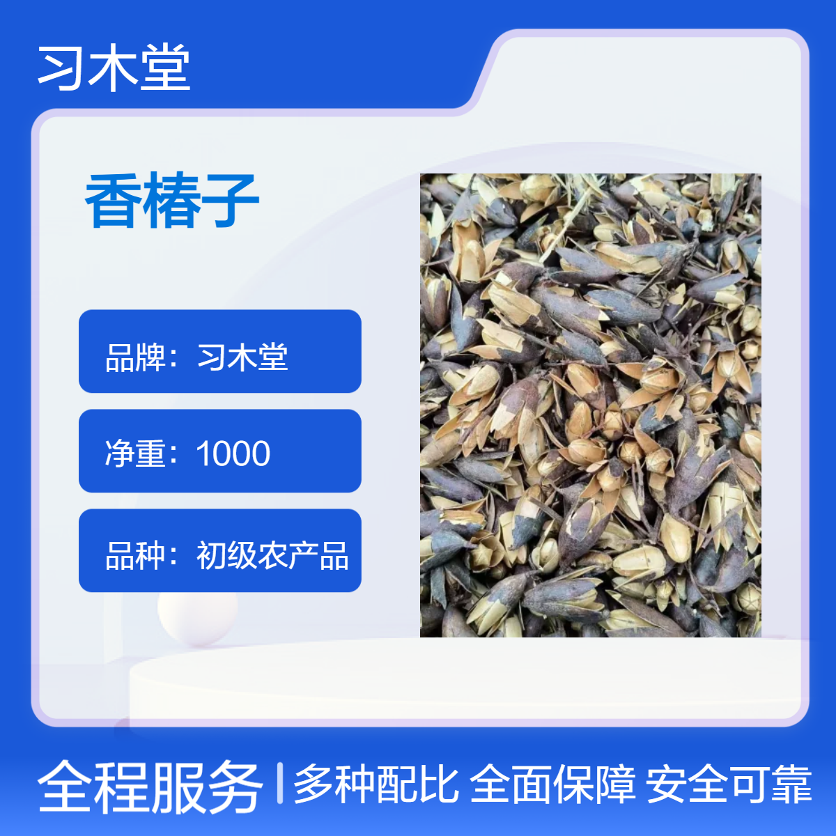 习木堂 供应 中草药 香椿子 当年新货 无硫 自然晒干