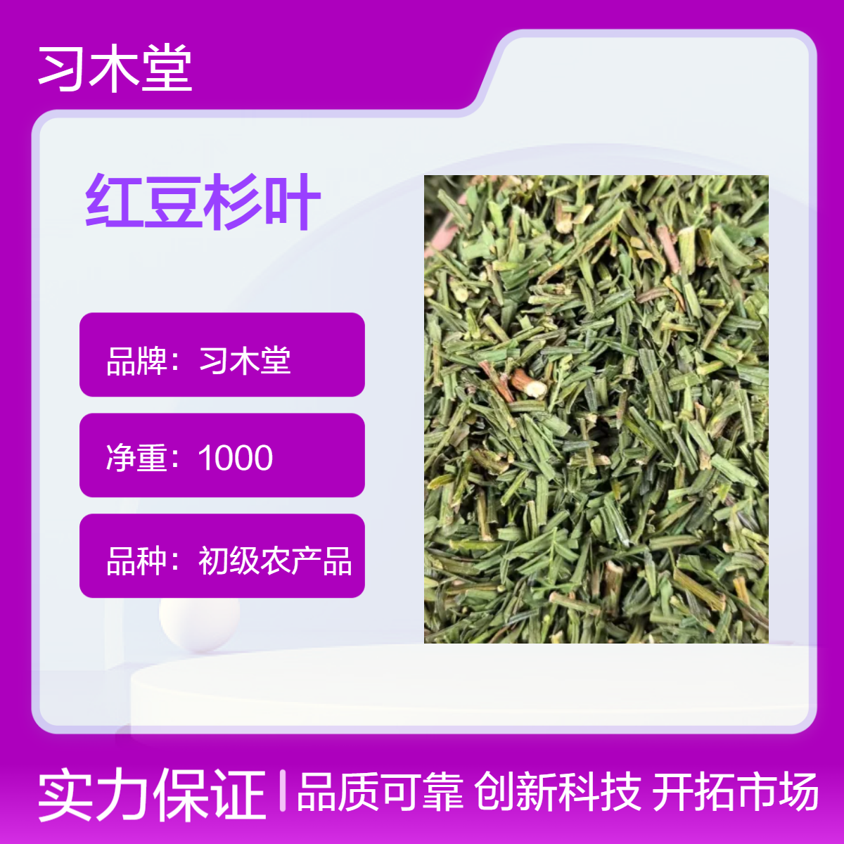 供应红豆杉叶 红豆杉果 新货 无硫 保质保量 产地直售