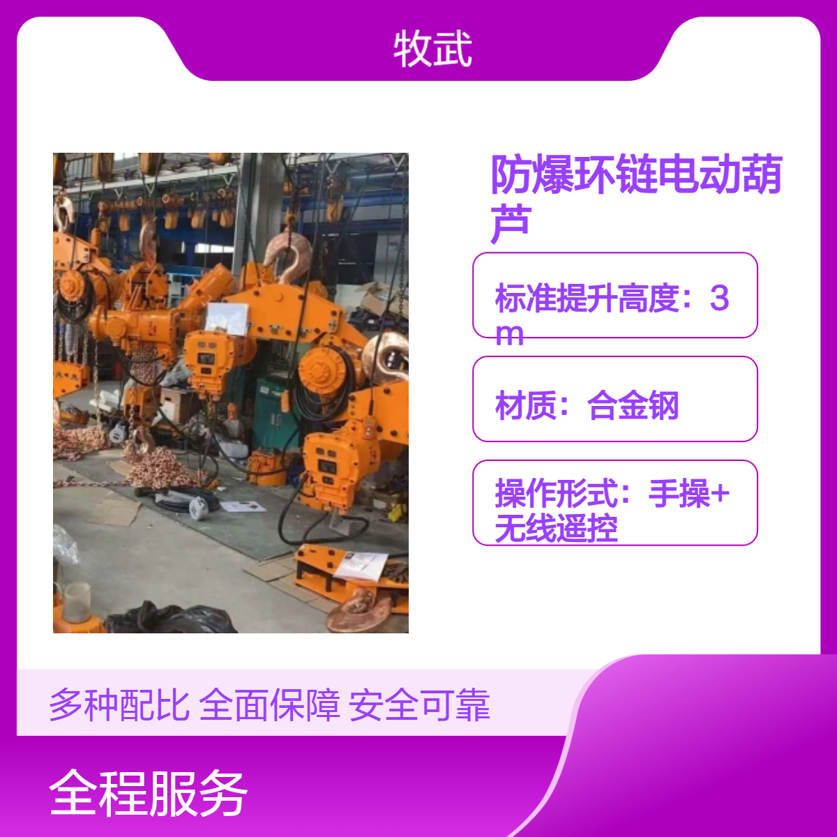 防爆电动葫芦 粉尘tDA21区 气体BT4 单双速提升 高度6m 380v/50hz