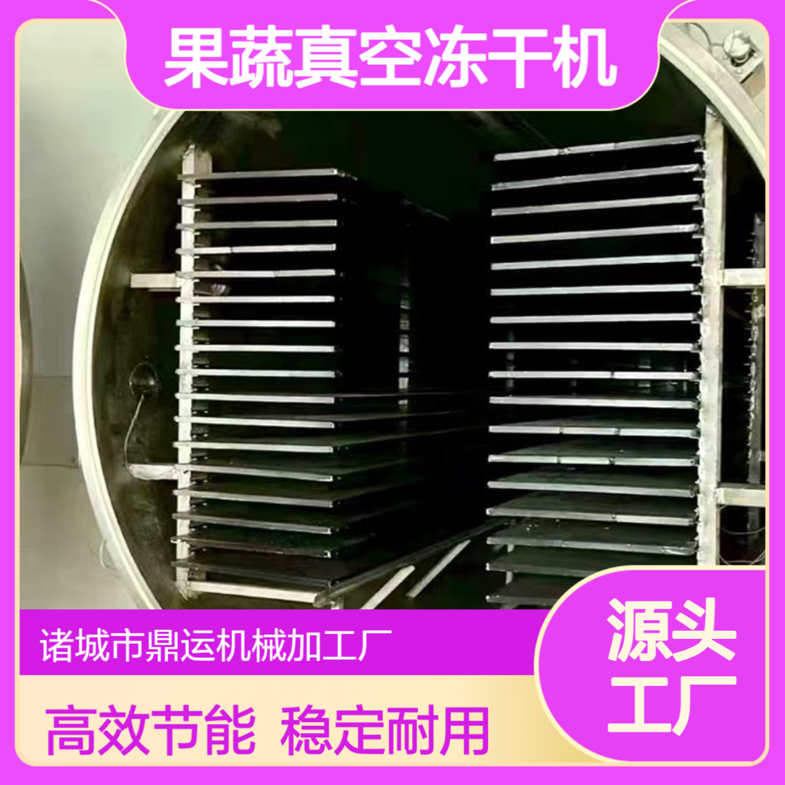 蘑菇真空冻干机 果蔬冻干设备 5平方冷冻干燥机