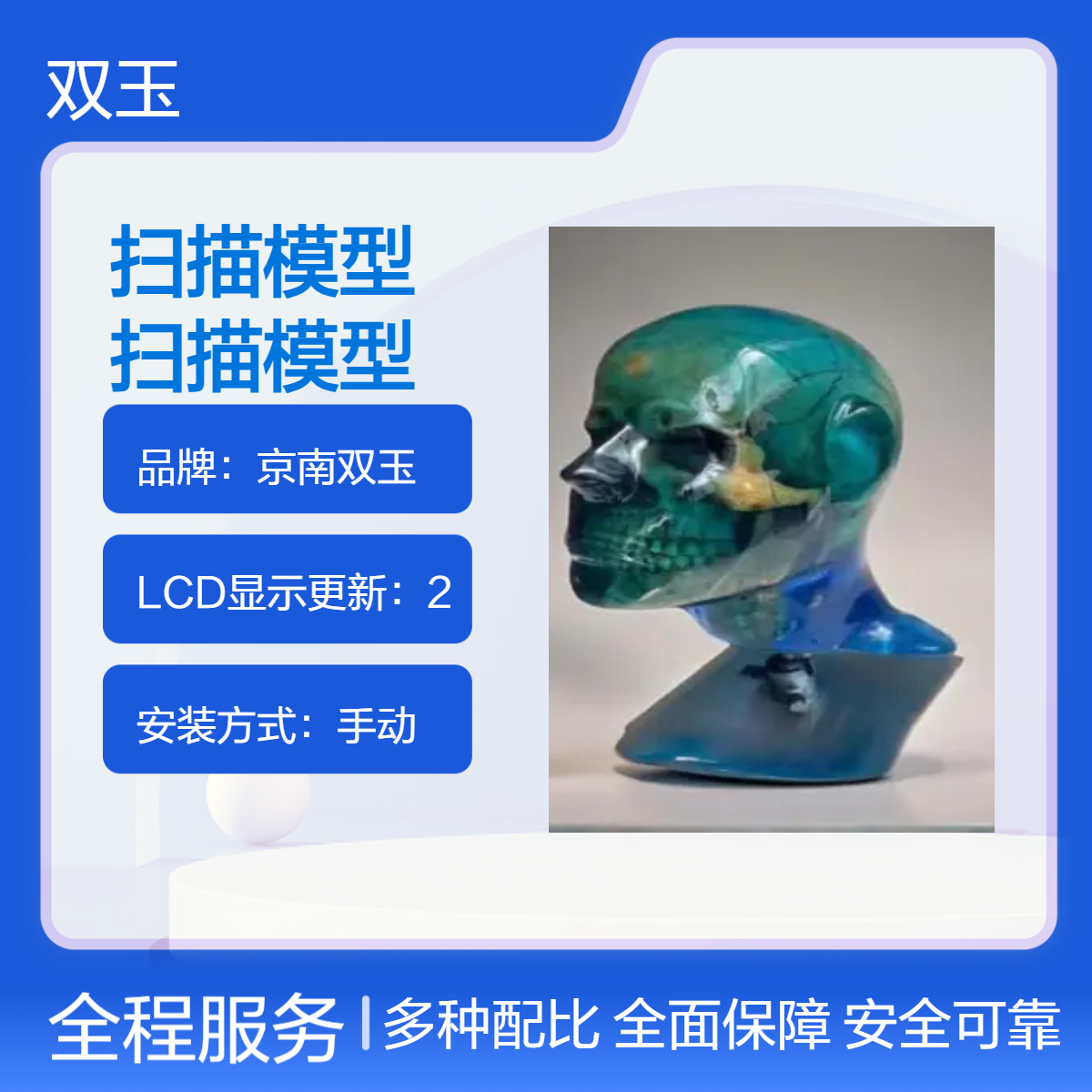 仿真头部模体核磁扫描模CT头部扫描模型MRI扫模体