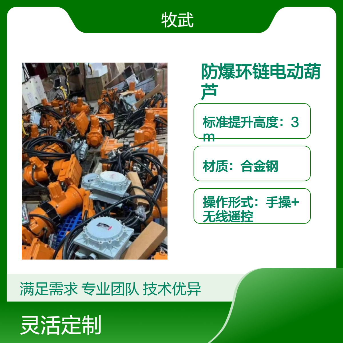1t5m粉尘防爆环链电动葫芦 防爆标志 Ex tb IIIC T135° Db