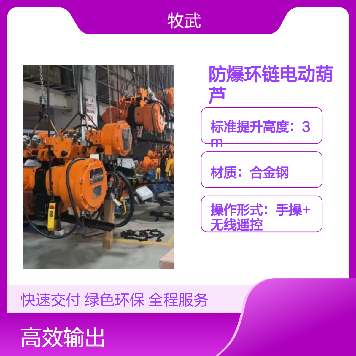 1吨气体防爆环链电动葫芦 防爆标志 IIBTC IICT4 380V电源 4米起升高度