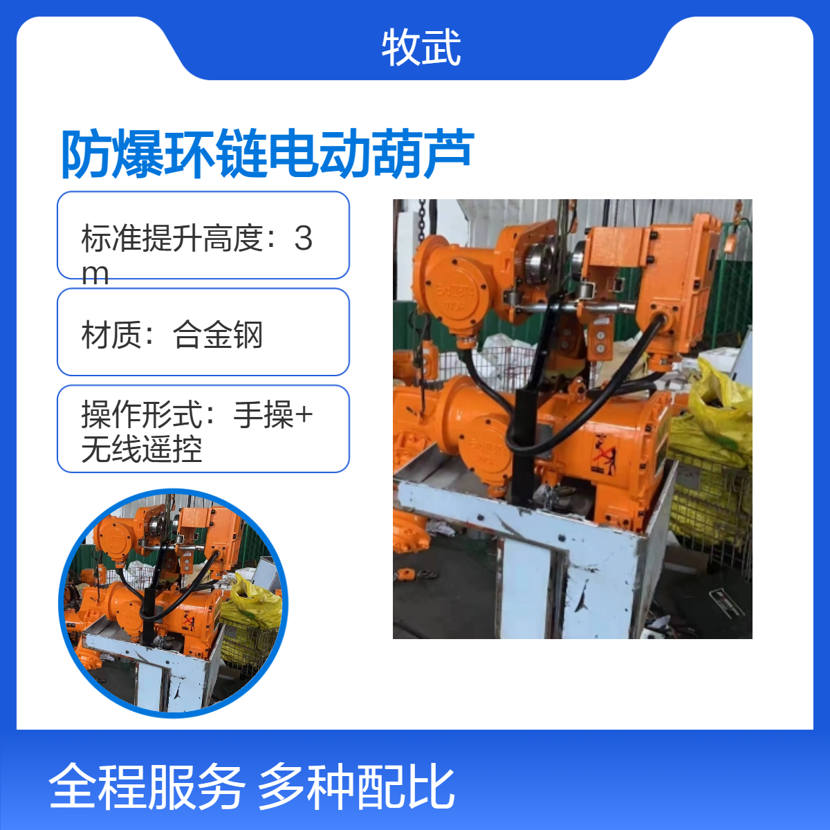 1T粉尘防爆洁净环链电动葫芦 防尘罩壳 380V电源 4m起升合金钢材质