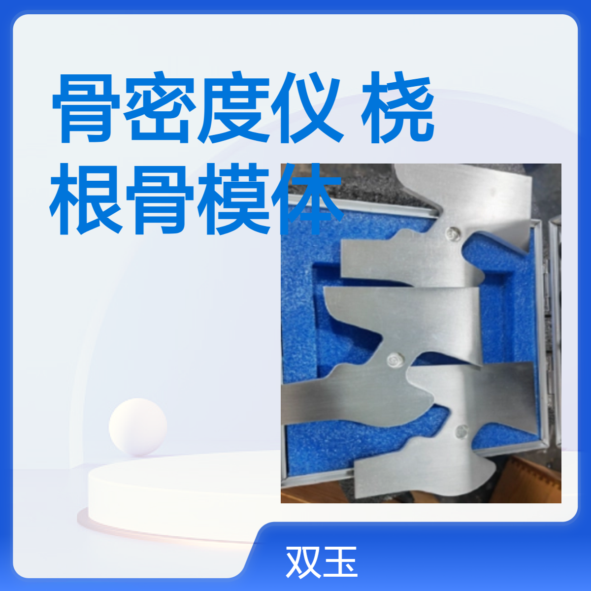 前臂骨模体骨密度仪测试用臂骨模体桡骨模体根骨模体定制