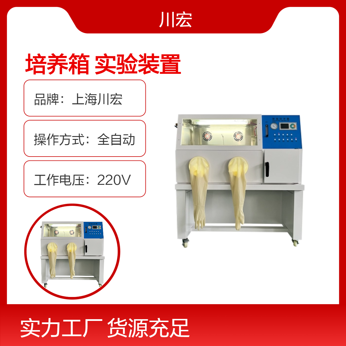 厌氧培养箱 YQX-II 细菌培养及操作一体实验装置