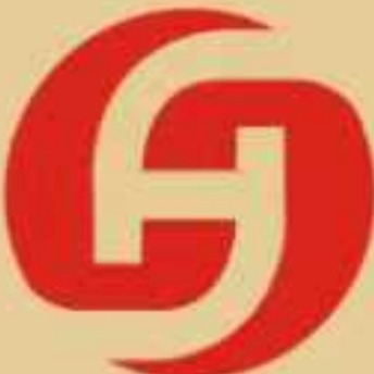 东莞市华善新材料有限公司 - 公司logo