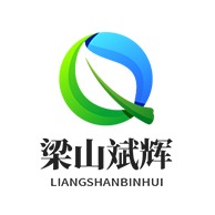 梁山斌辉机械设备有限公司 - 公司logo