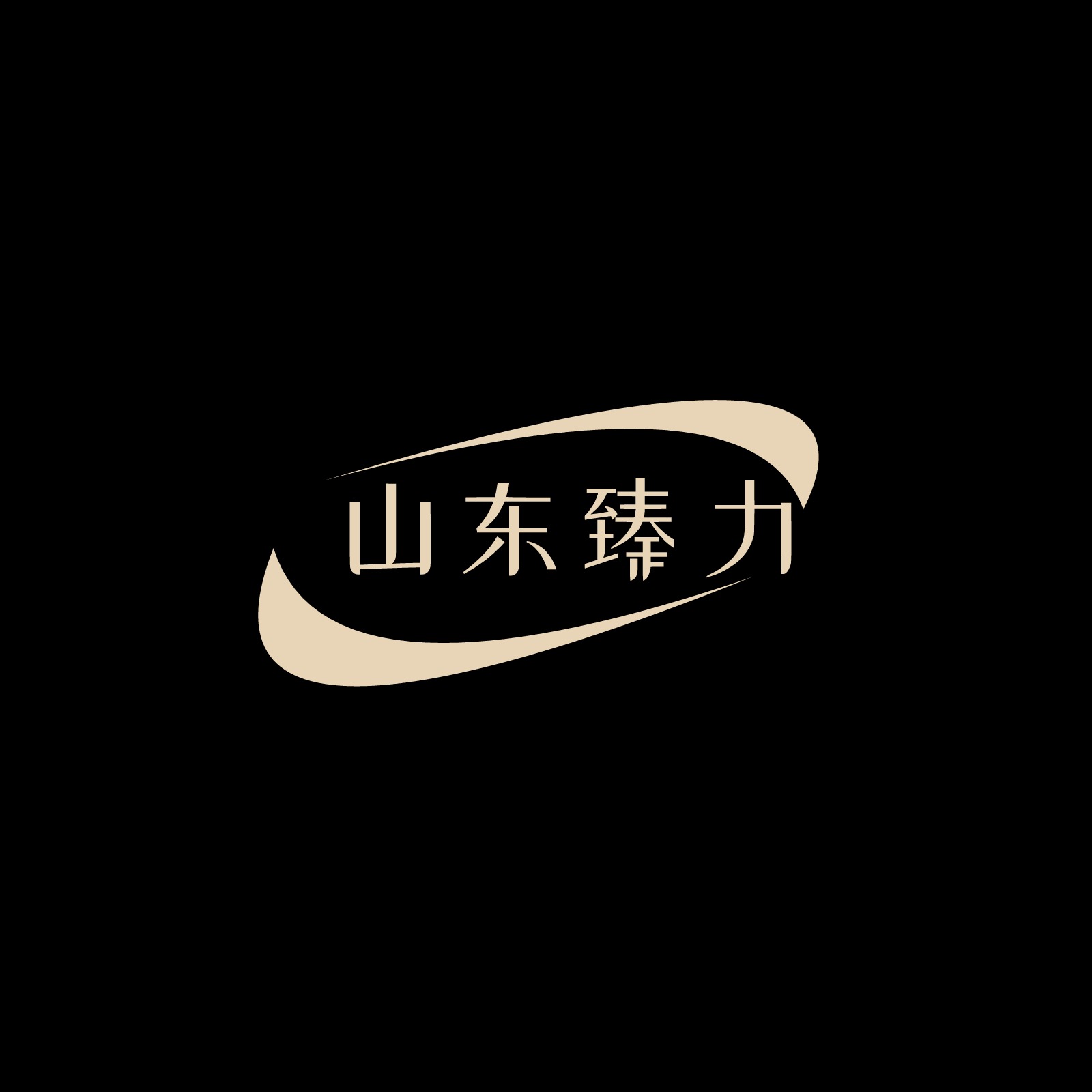 山东臻力包装制品有限公司 - 公司logo