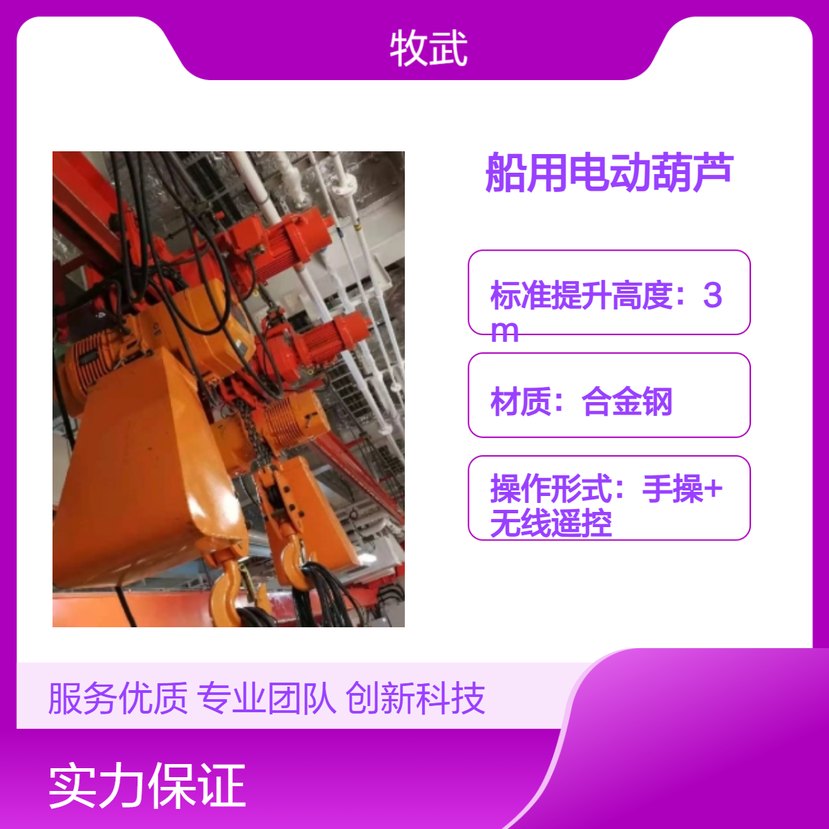 10T船用电动葫芦440V 60Hz 合金钢材质 起升6m 船级社CCS 手动释放