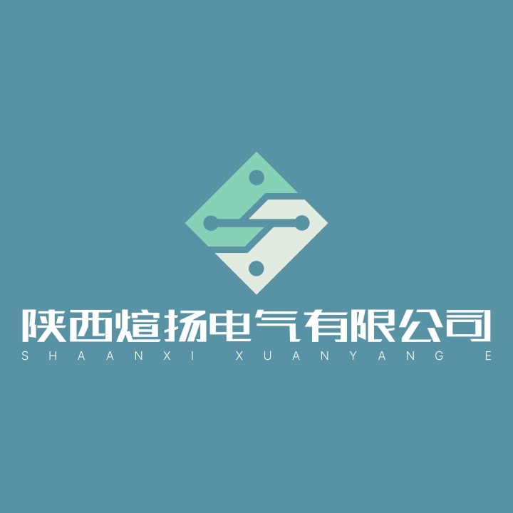 Shaanxi Xuanyang Electric Co., Ltd - Company Logo