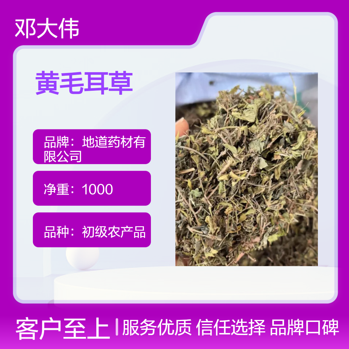 原色黄毛耳草供应阴凉干燥储存 防潮防蛀 原药材散装