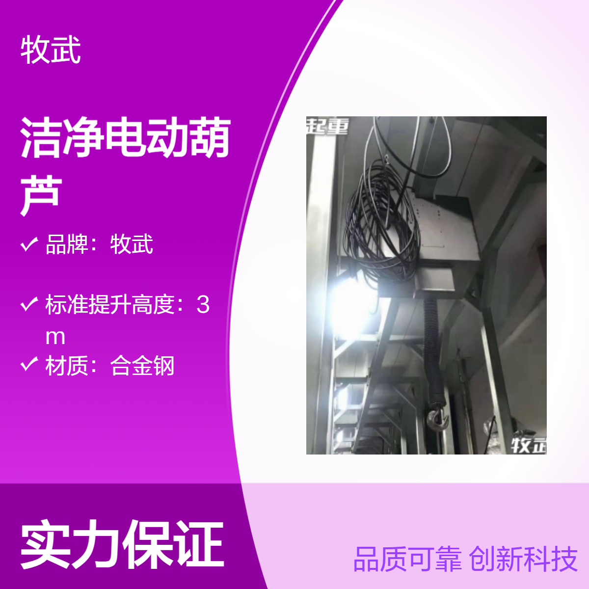 牧武2T洁净电动葫芦 合金钢材质 5m起升 无尘室车间厂房专用起重设备
