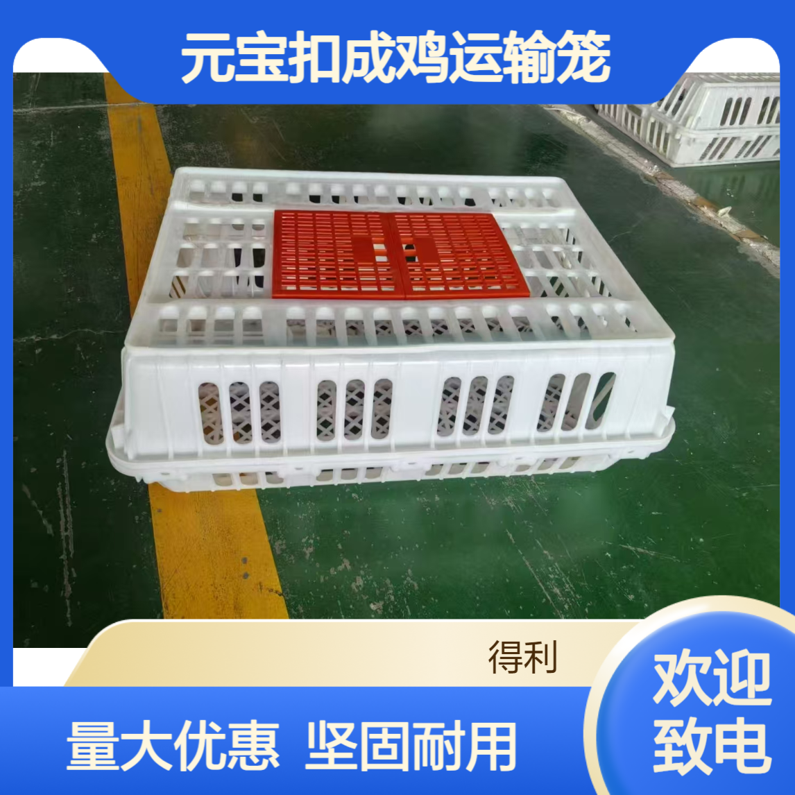 元宝扣成鸡运输笼 大成鸡笼子批发厂家 对开门塑料鸡筐 得利畜牧
