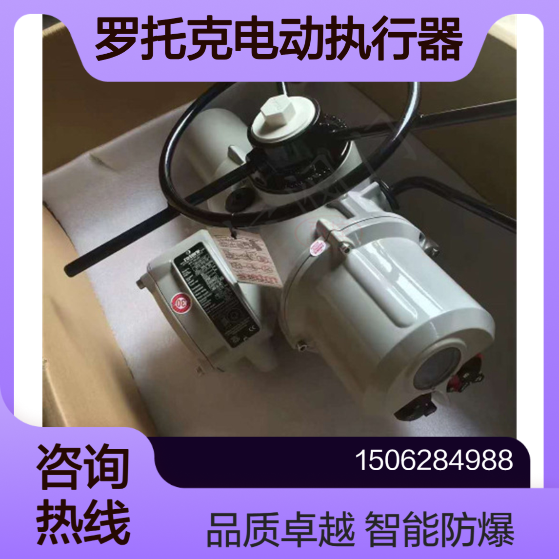 罗托克电动执行器IQ10-F10-B4不锈钢材质智能一体化防爆型电装
