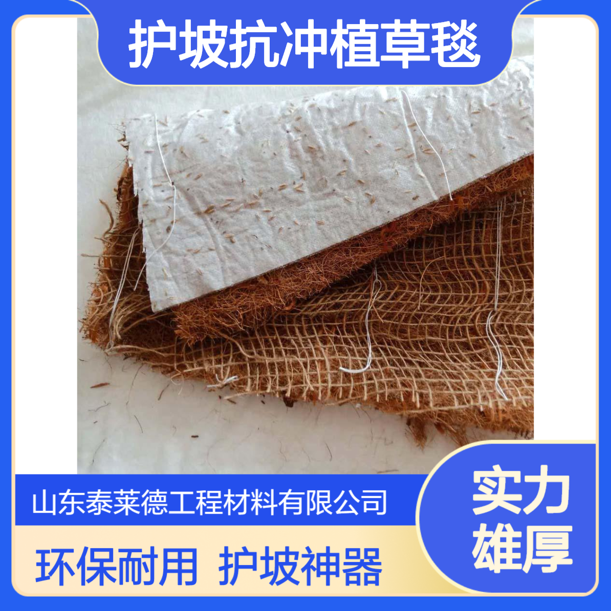 泰莱德 护坡抗冲植草毯 椰丝稻草纤维毯 环保绿色无污染 尺寸可定制
