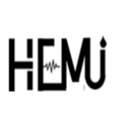 广东赫米仪表有限公司 - 公司logo