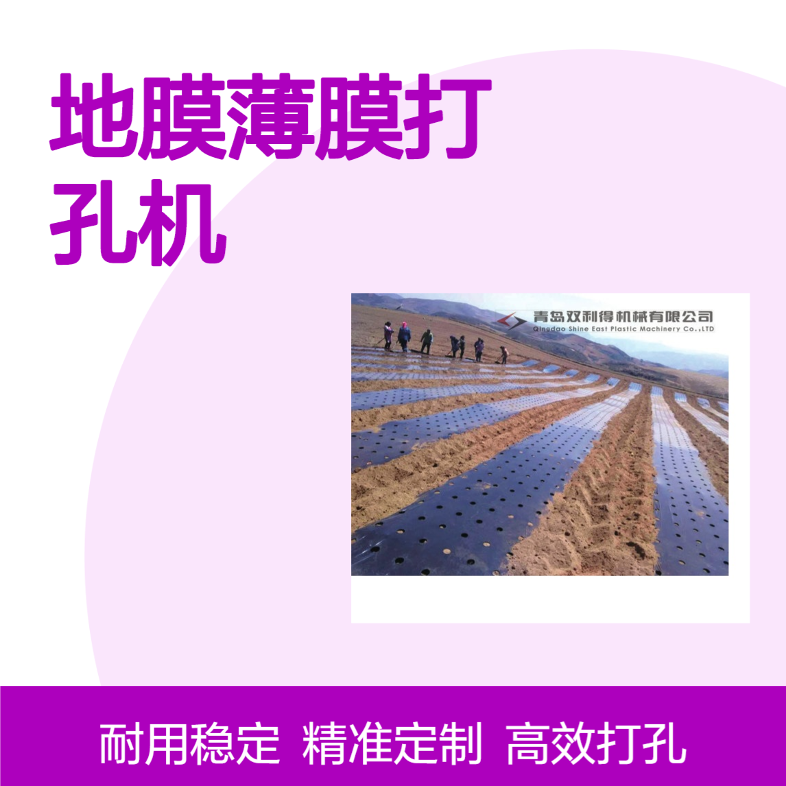 地膜薄膜打孔机生产线双利得加工定制塑料打孔设备