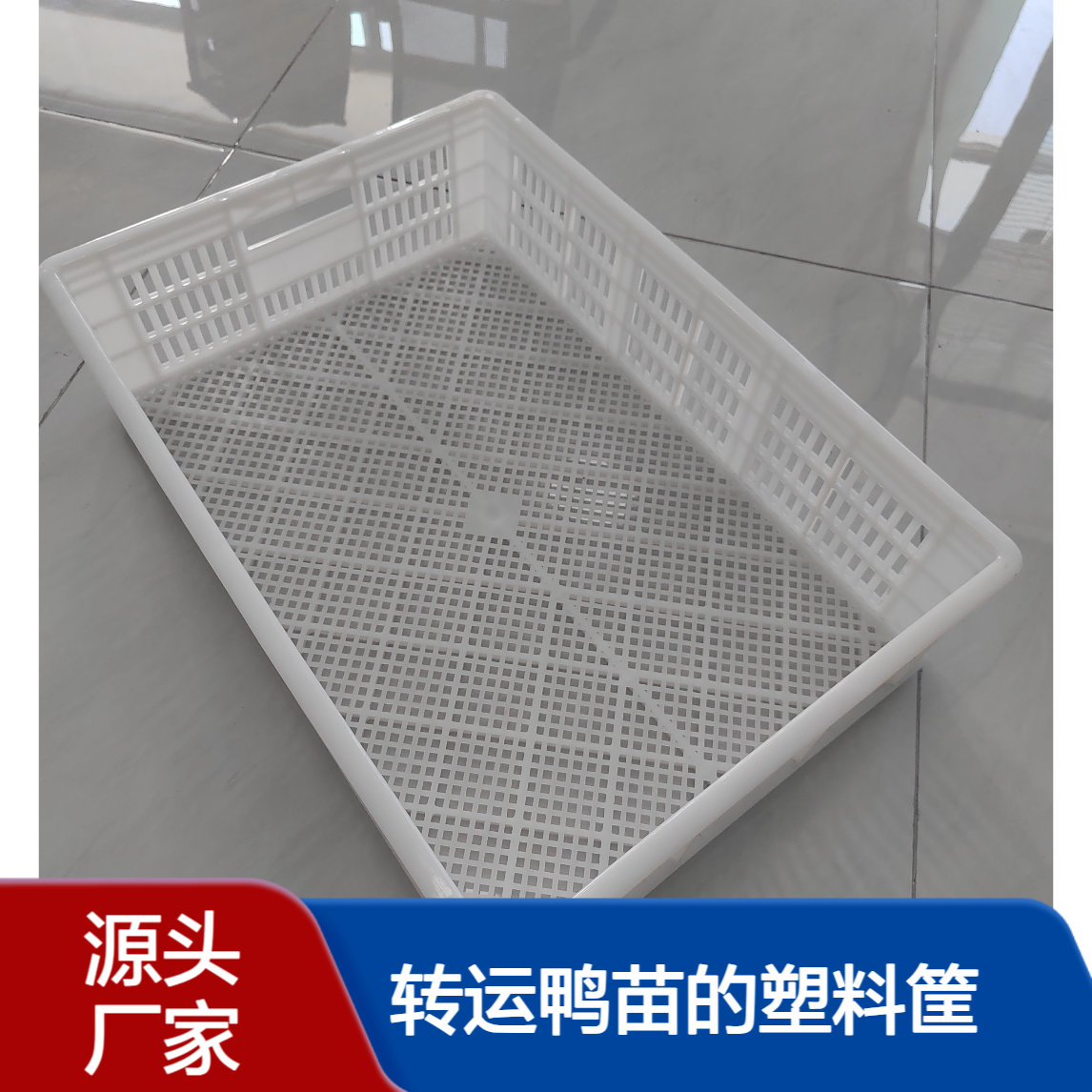 鸭苗筐 转运鸭苗的塑料筐 80只鸭苗箱 得畜牧厂家