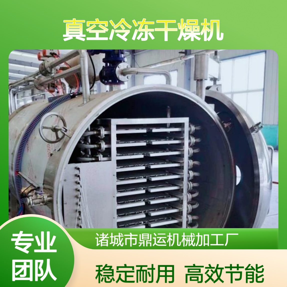 20平方中大型水果商用冻干机 蔬菜真空冷冻干燥机 中草药冻干设备
