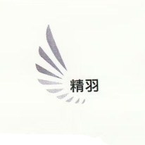 武汉顺风精羽管业有限公司 - 公司logo